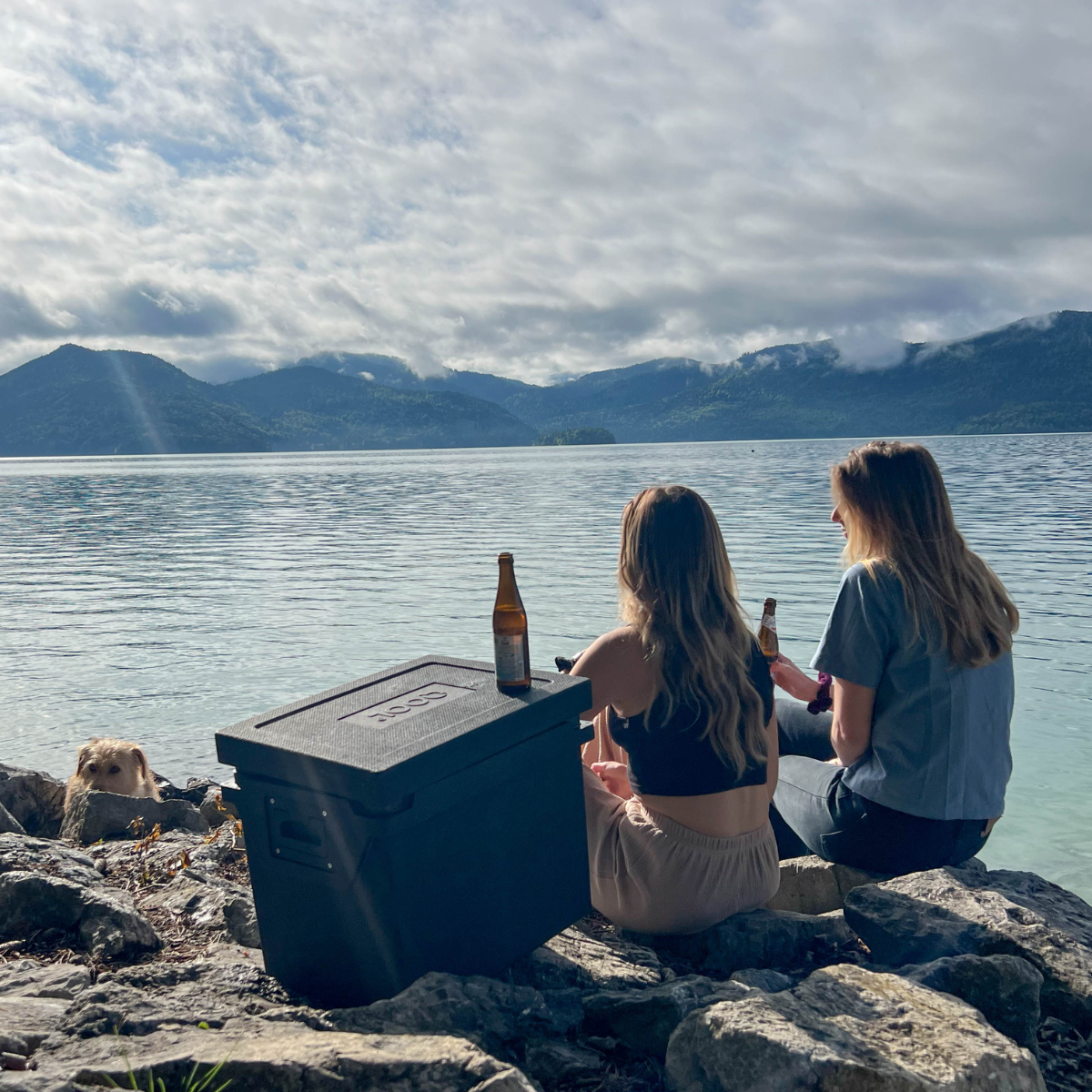 Qool Box M - Sort Eco