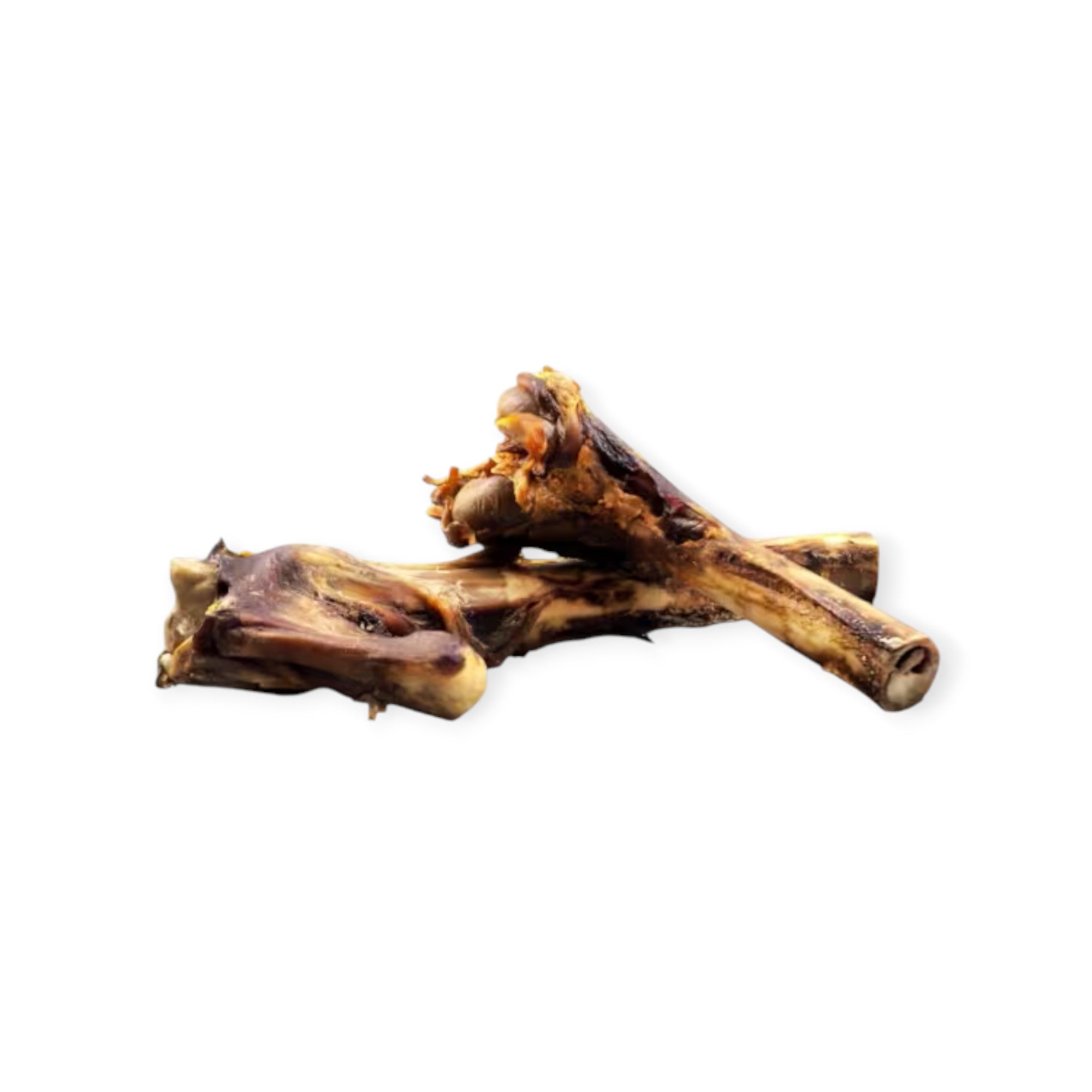 Hjortemargbein 15-23 cm (1 stk)