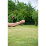 Dog Comets Blazar Jet Orange